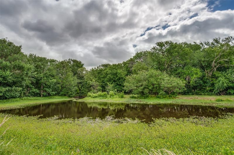 1833 Dr Sanders Road, Cross Roads TX 76227 - Photo 38