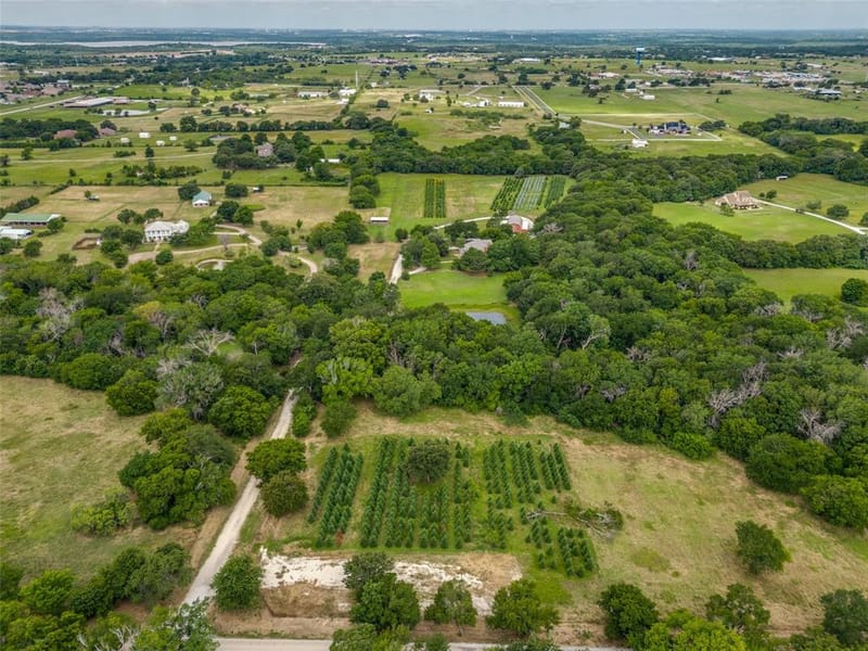 1833 Dr Sanders Road, Cross Roads TX 76227 - Photo 39