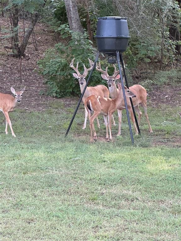 700 Lost Hunters, China Spring TX 76633 - Photo 6