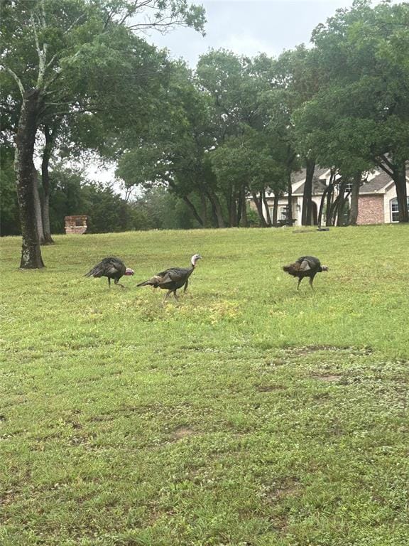 700 Lost Hunters, China Spring TX 76633 - Photo 11