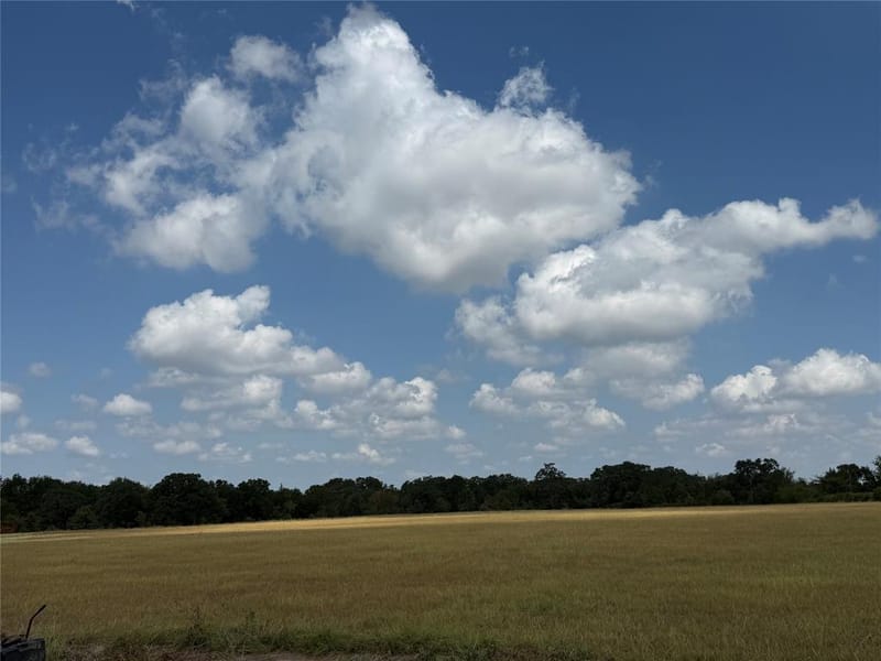 17215 Tarlton Road, Mabank TX 75147 - Photo 36