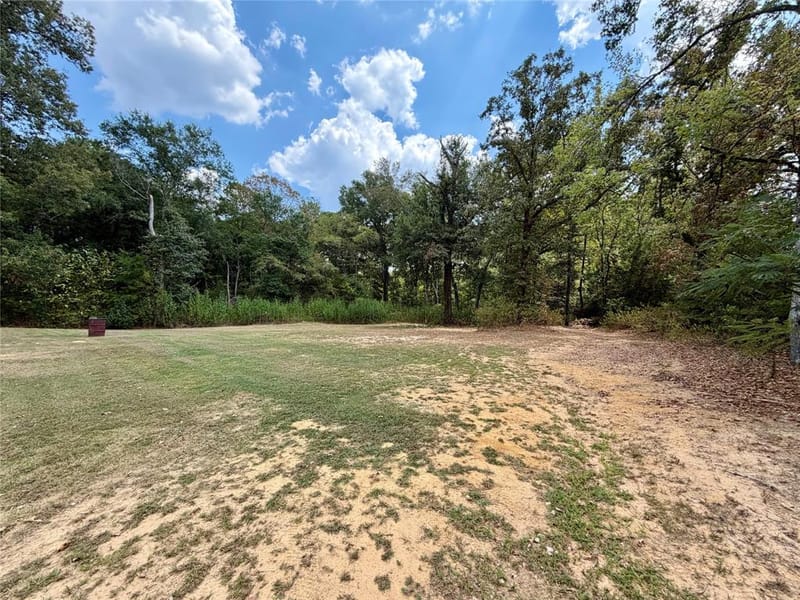 3341 Fm 778, Mineola TX 75773 - Photo 30