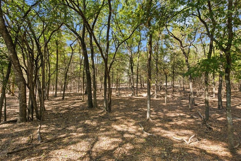 5000 FM 2947, Greenville TX 75402 - Photo 34