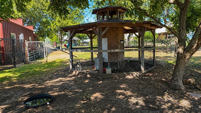 2415 Old Crawford Road, Crawford TX 76638 - Photo 33