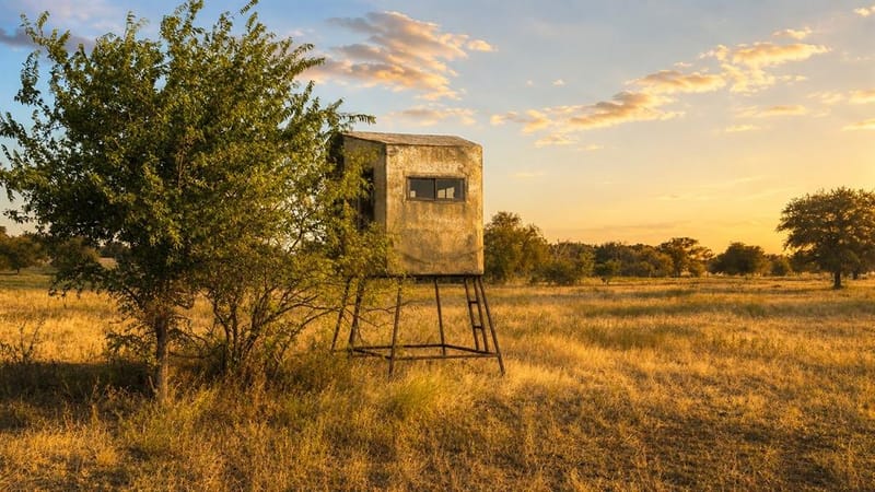 2415 Old Crawford Road, Crawford TX 76638 - Photo 40