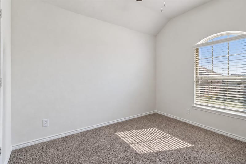 3707 Smuggler Mine Street, Aubrey TX 76227 - Photo 20