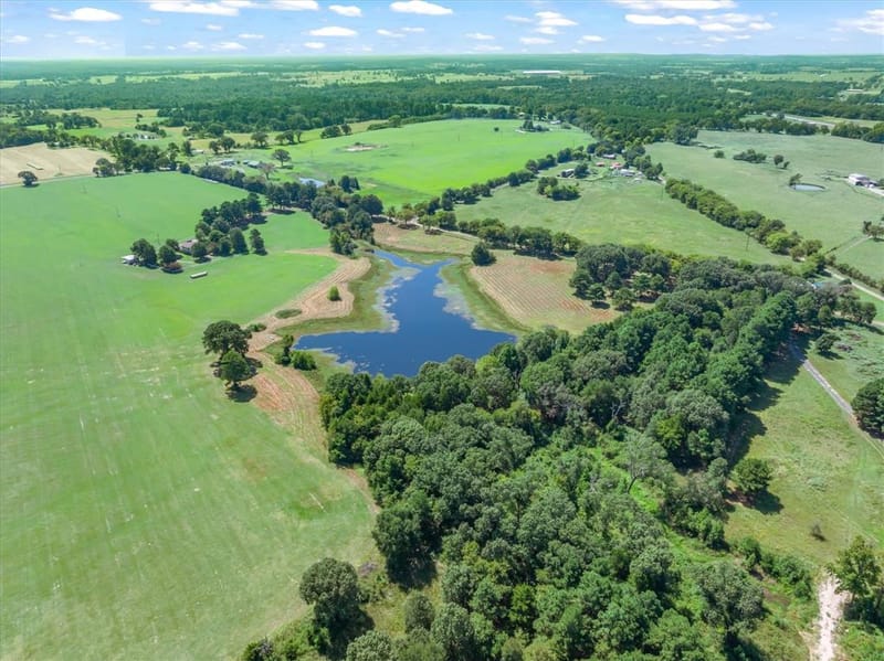 893 Vz County Road 4203, Canton TX 75103 - Photo 7