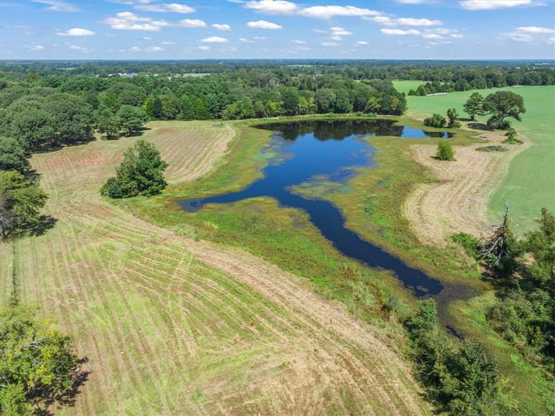 893 Vz County Road 4203, Canton TX 75103 - Photo 9