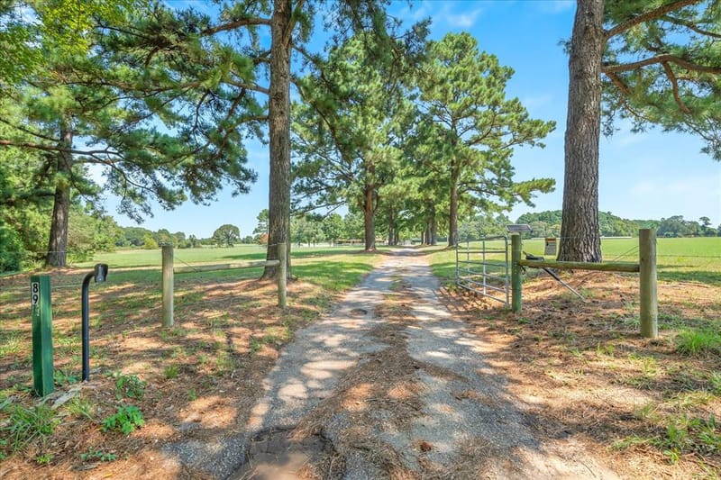 893 Vz County Road 4203, Canton TX 75103 - Photo 10