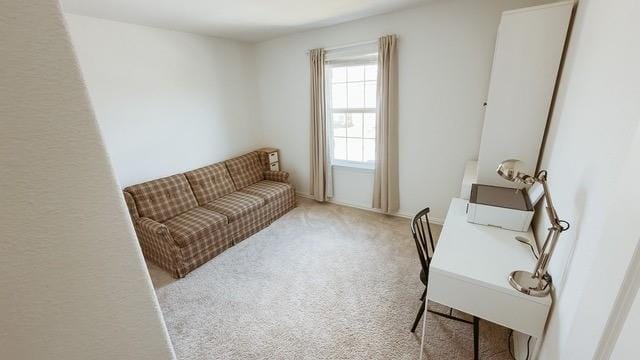 1120 Western Yarrow Avenue, Justin TX 76247 - Photo 20