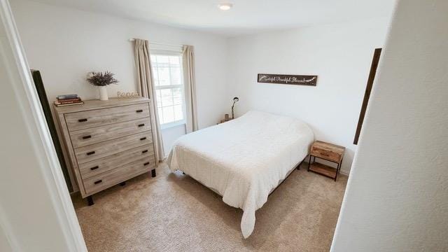 1120 Western Yarrow Avenue, Justin TX 76247 - Photo 19