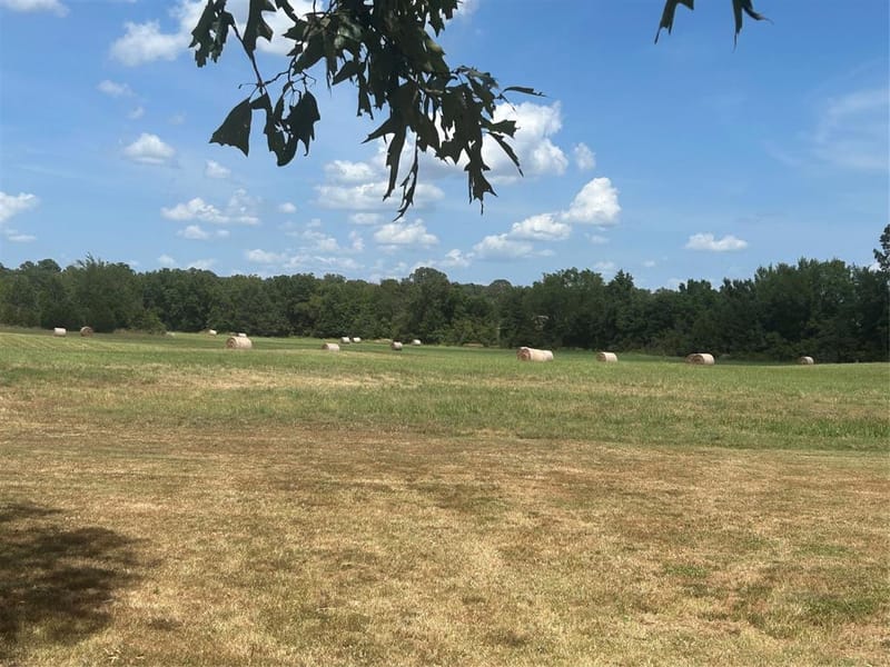 1620 FR 3298, Powderly TX 75473 - Photo 9