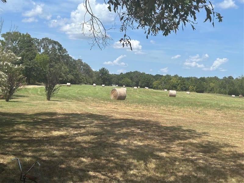 1620 FR 3298, Powderly TX 75473 - Photo 8