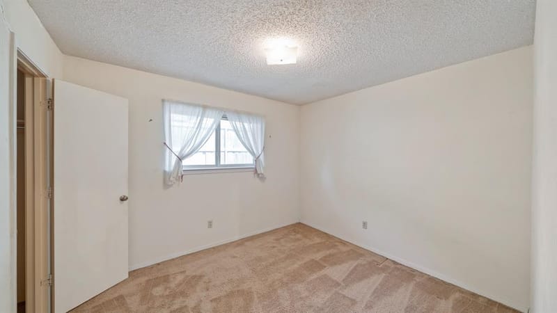 3017 Bandolino Lane, Plano TX 75075 - Photo 17