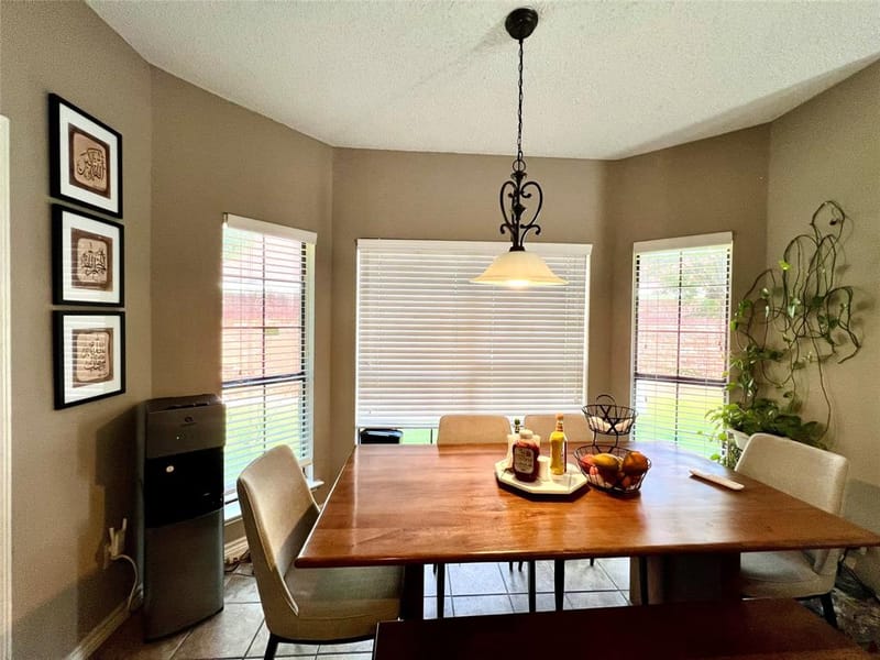 7013 Tremont Lane, Rowlett TX 75089 - Photo 12