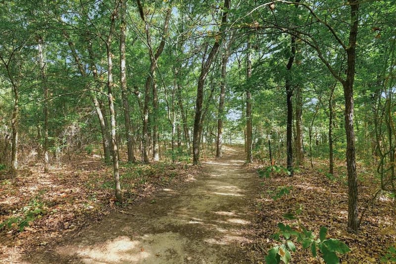 230 Frosty Hollow Road, Denison TX 75021 - Photo 36