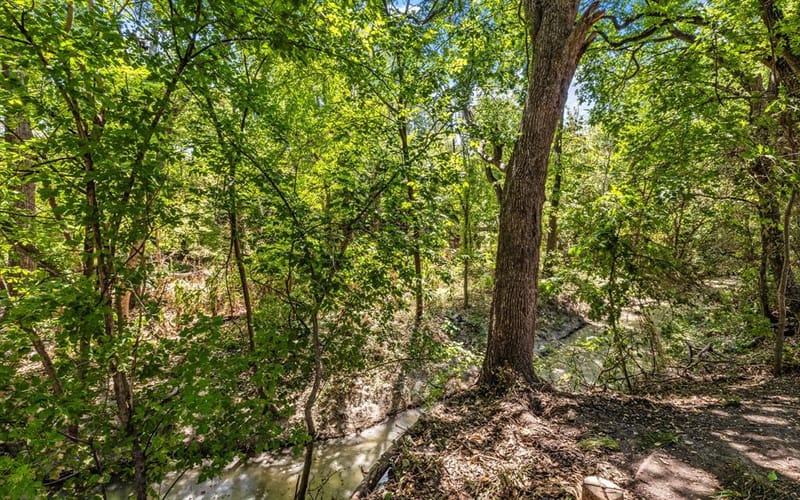 1101 Sonoma Drive, McKinney TX 75072 - Photo 29