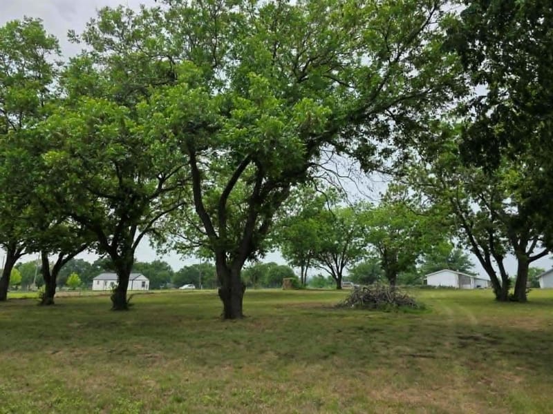 7498 State Highway 175, Montague TX 76251 - Photo 30