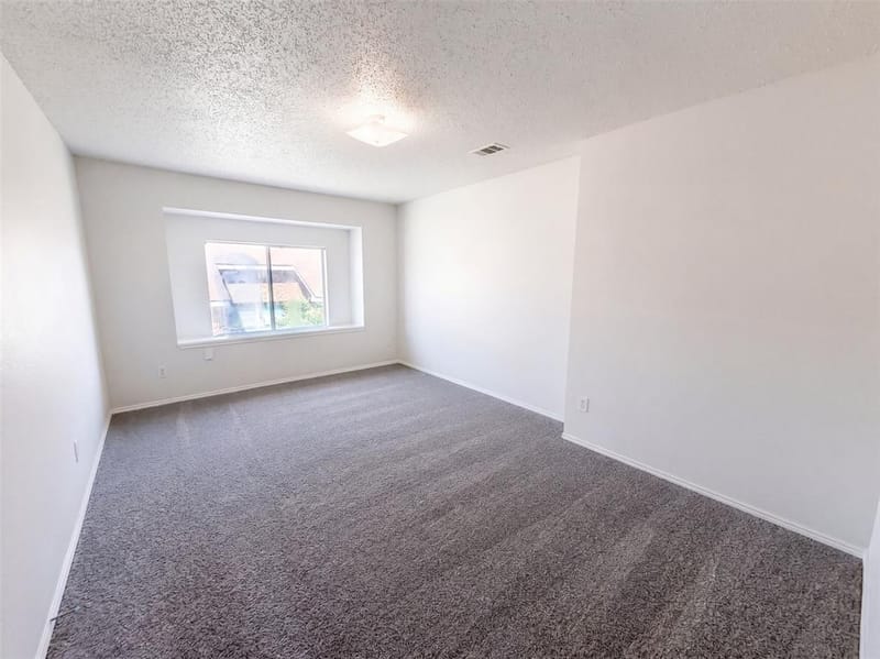 213 Cozy Lane, Cedar Hill TX 75104 - Photo 17
