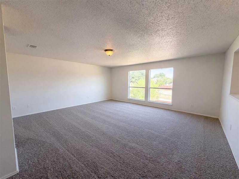 213 Cozy Lane, Cedar Hill TX 75104 - Photo 14