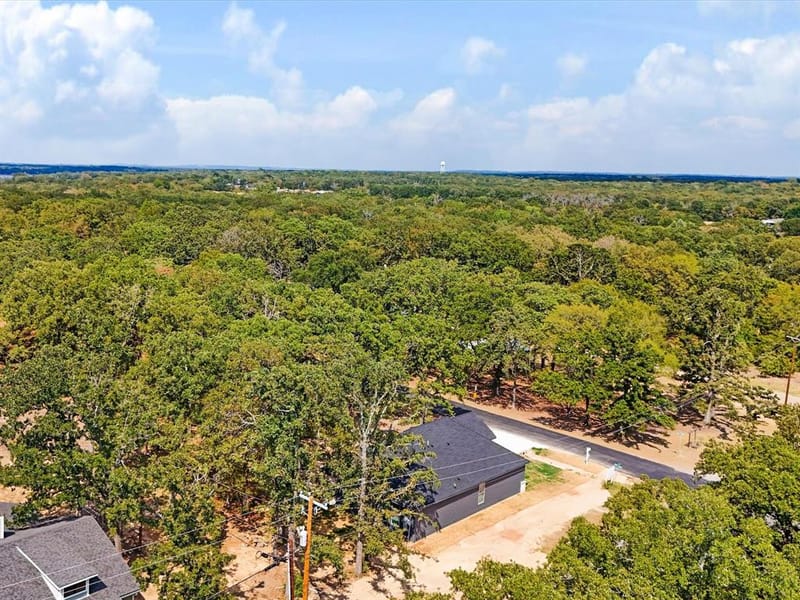 4705 Point La Vista, Malakoff TX 75148 - Photo 29