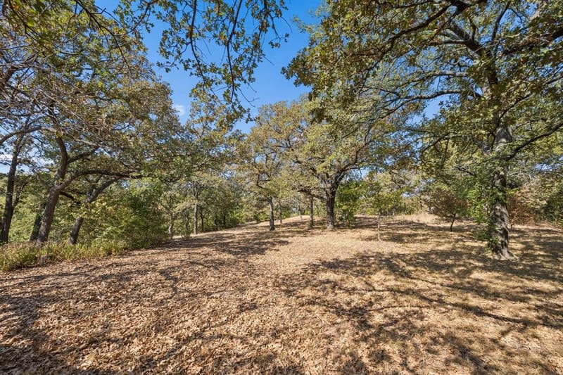 2301 Moseley Road, Cross Roads TX 76227 - Photo 23