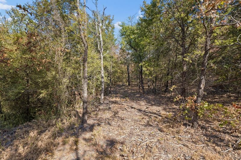 2301 Moseley Road, Cross Roads TX 76227 - Photo 17