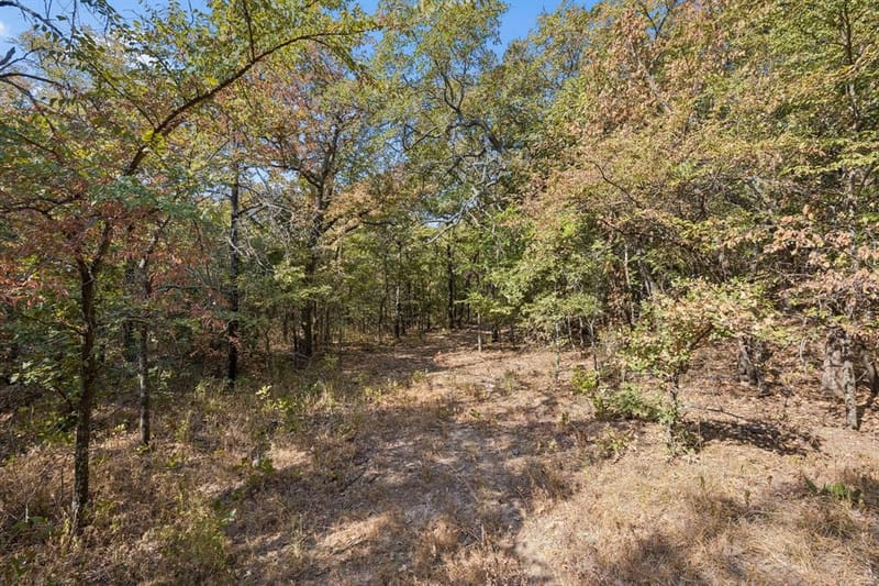 2301 Moseley Road, Cross Roads TX 76227 - Photo 16