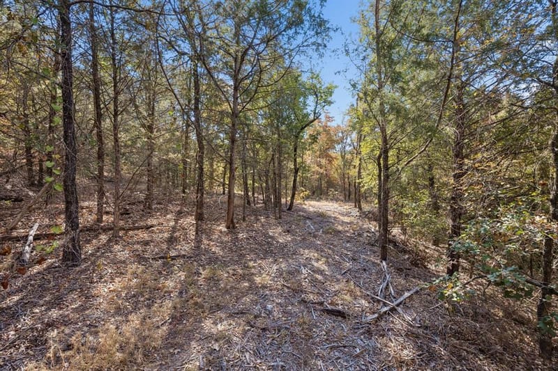 2301 Moseley Road, Cross Roads TX 76227 - Photo 26