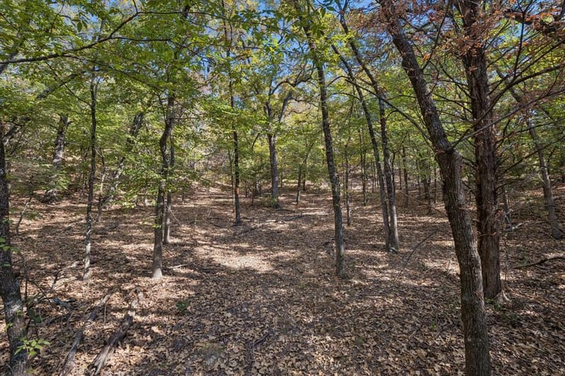 2301 Moseley Road, Cross Roads TX 76227 - Photo 7