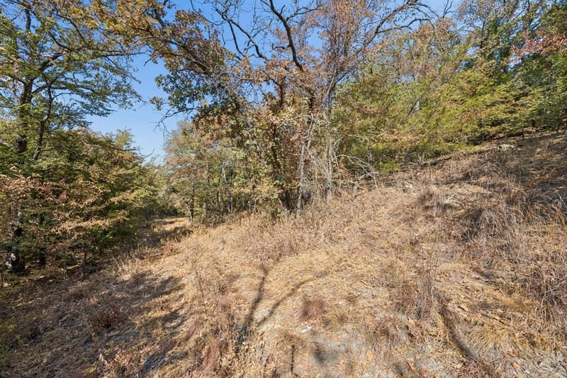 2301 Moseley Road, Cross Roads TX 76227 - Photo 14