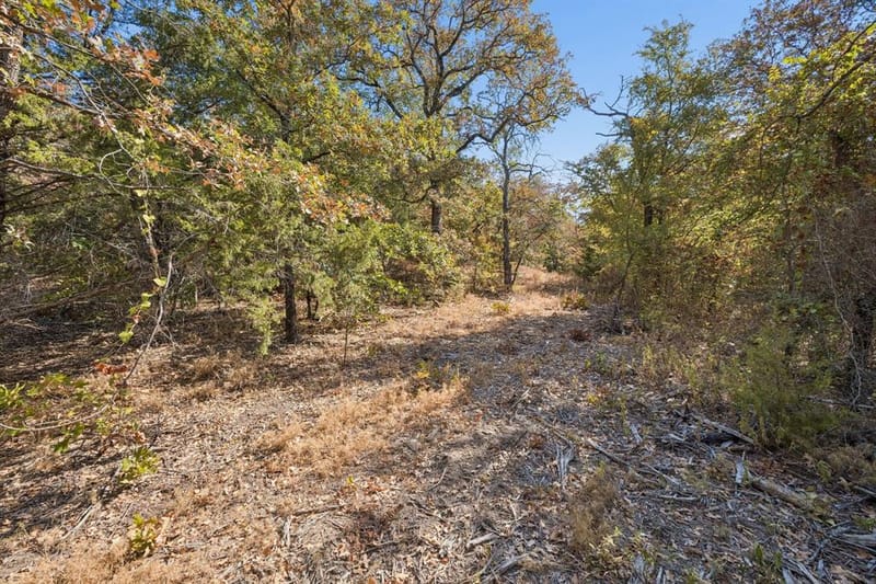 2301 Moseley Road, Cross Roads TX 76227 - Photo 19