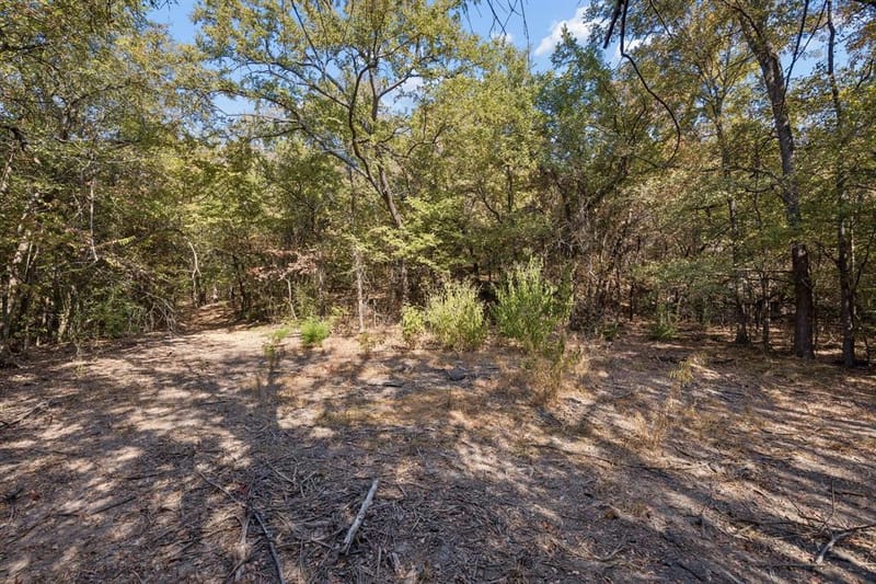 2301 Moseley Road, Cross Roads TX 76227 - Photo 25