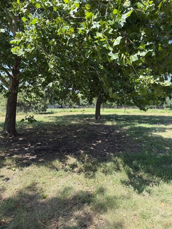 14050 S State Highway 78, Leonard TX 75452 - Photo 26