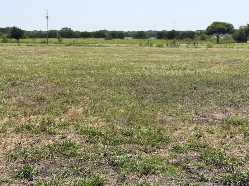 14050 S State Highway 78, Leonard TX 75452 - Photo 31