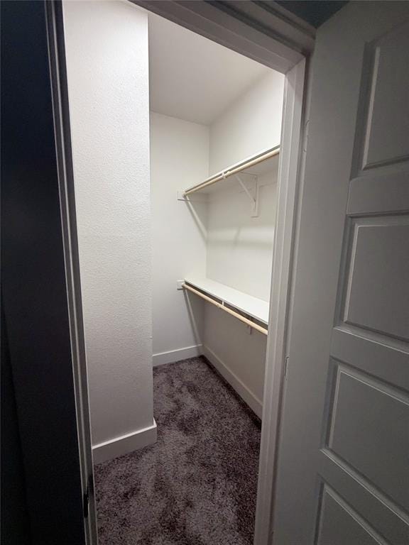 7306 Rubio Place, Dallas TX 75235 - Photo 5