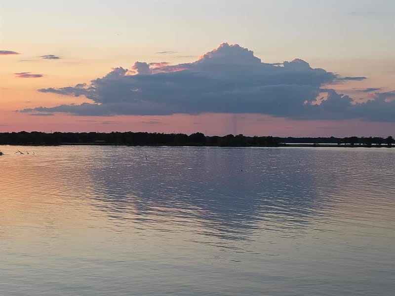 180 Vz County Road 3734, Wills Point TX 75169 - Photo 27