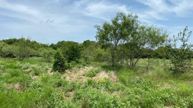 878 S Munson Road, Royse City TX 75189 - Photo 6