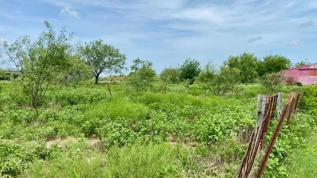 878 S Munson Road, Royse City TX 75189 - Photo 13
