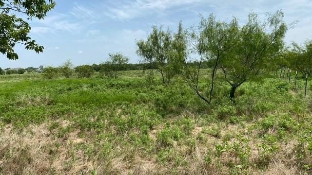 878 S Munson Road, Royse City TX 75189 - Photo 11