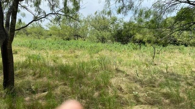 878 S Munson Road, Royse City TX 75189 - Photo 8