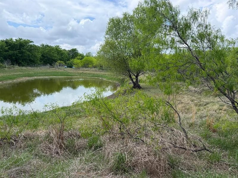 1980 Fm 933, Aquilla TX 76622 - Photo 6