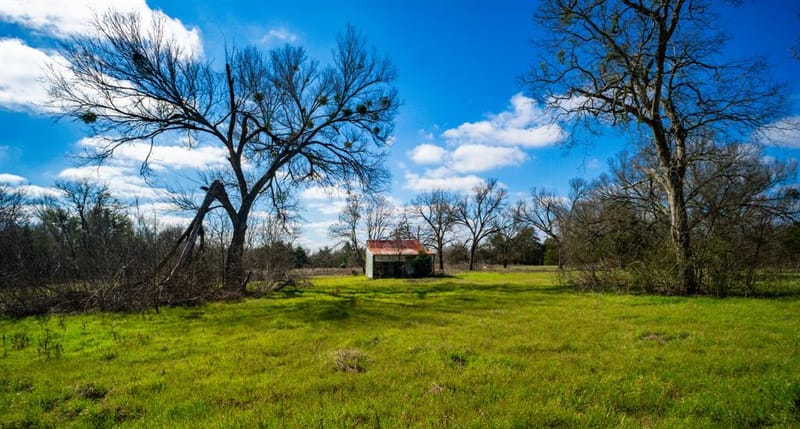 115 E Brazos, Wortham TX 76693 - Photo 33