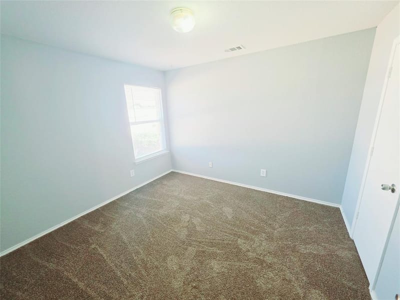 1336 Falcon Trail, Cedar Hill TX 75104 - Photo 18