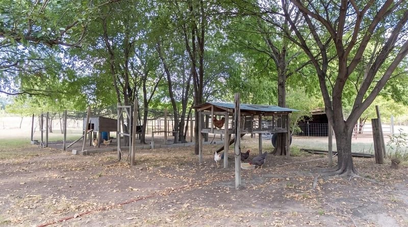 303 Pump House Road, Ennis TX 75119 - Photo 33