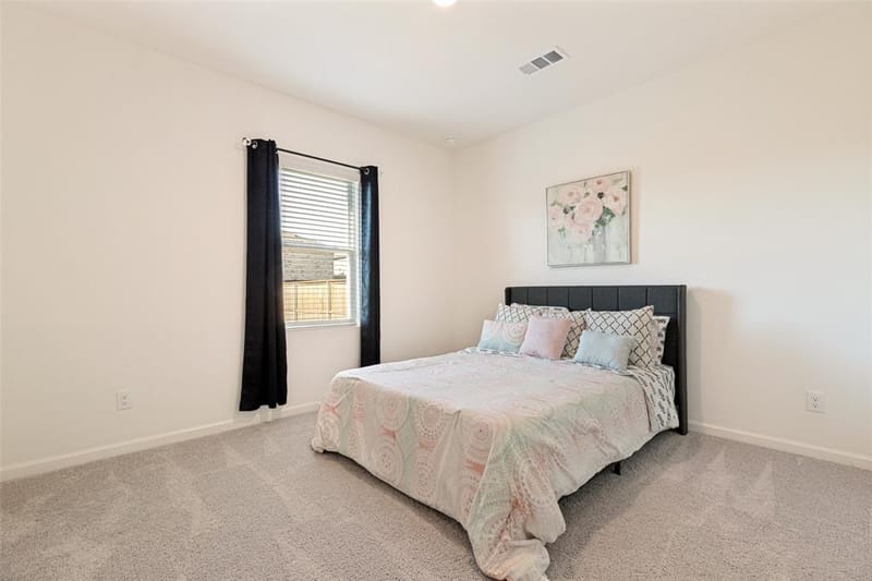 14160 Donahue Street, Pilot Point TX 76258 - Photo 12