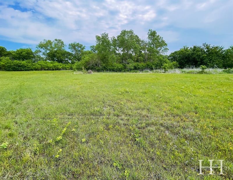 1387 McConnell Road, Gunter TX 75058 - Photo 12