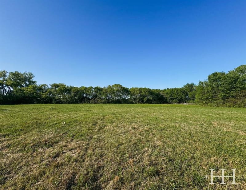 1387 McConnell Road, Gunter TX 75058 - Photo 9