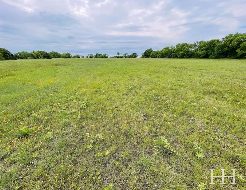 1387 McConnell Road, Gunter TX 75058 - Photo 11