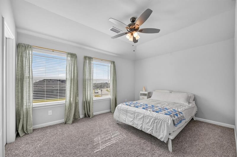1017 Greywood Drive, Anna TX 75409 - Photo 22